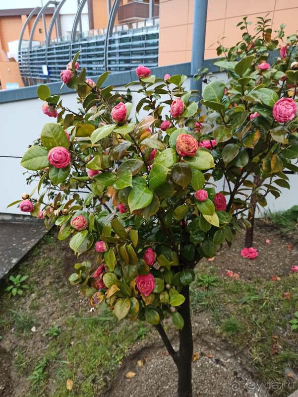 Прекрасный гостиничный комплекс!