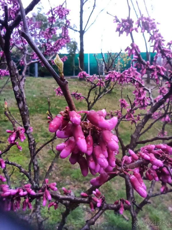 Прекрасный гостиничный комплекс!