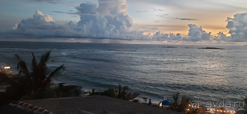 "50 оттенков зеленого" или удивительная Шри-Ланка, отдых в отеле Peacock , Унаватуна в ноябре 2023 года. 