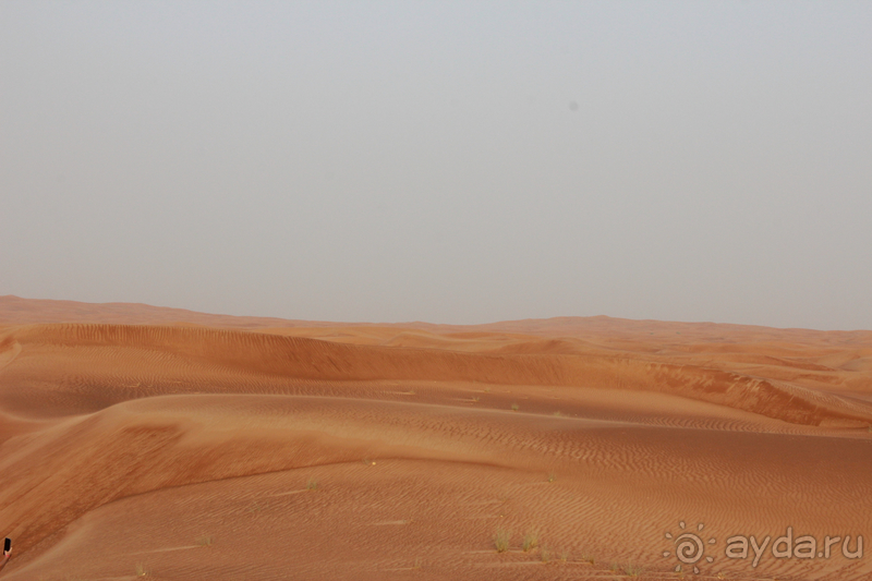 Несравненный Дубай