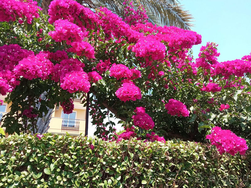 Замечательный отель!