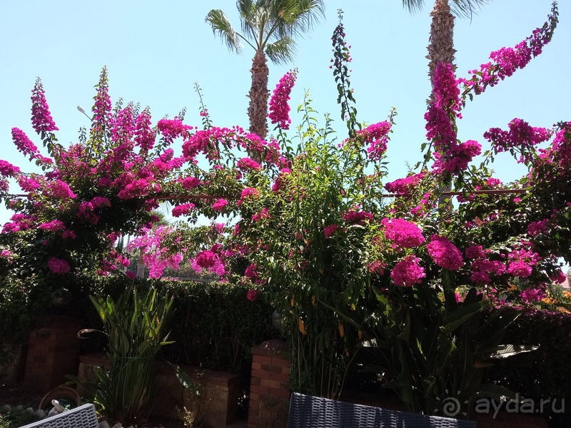 Замечательный отель!