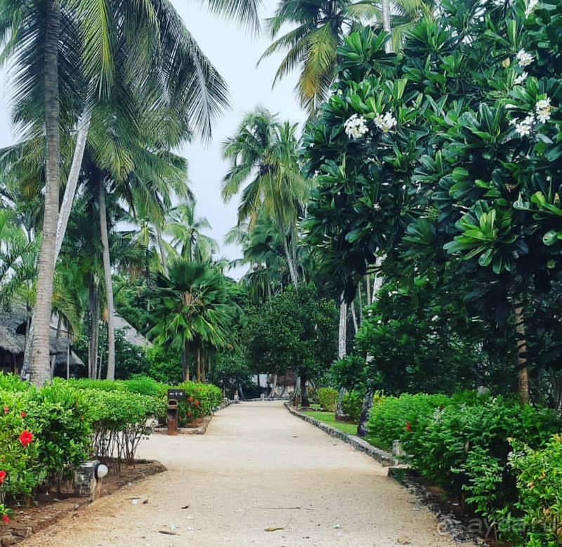 Если Рай существует - то он здесь!