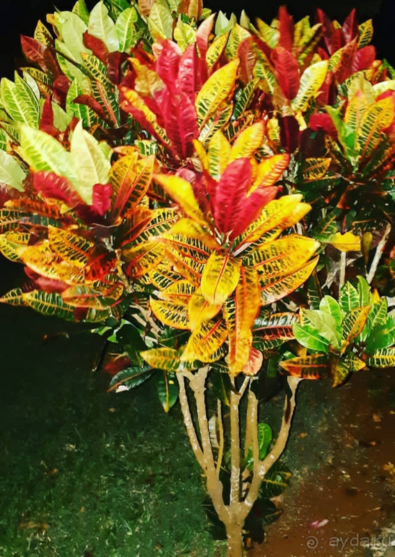 Если Рай существует - то он здесь!