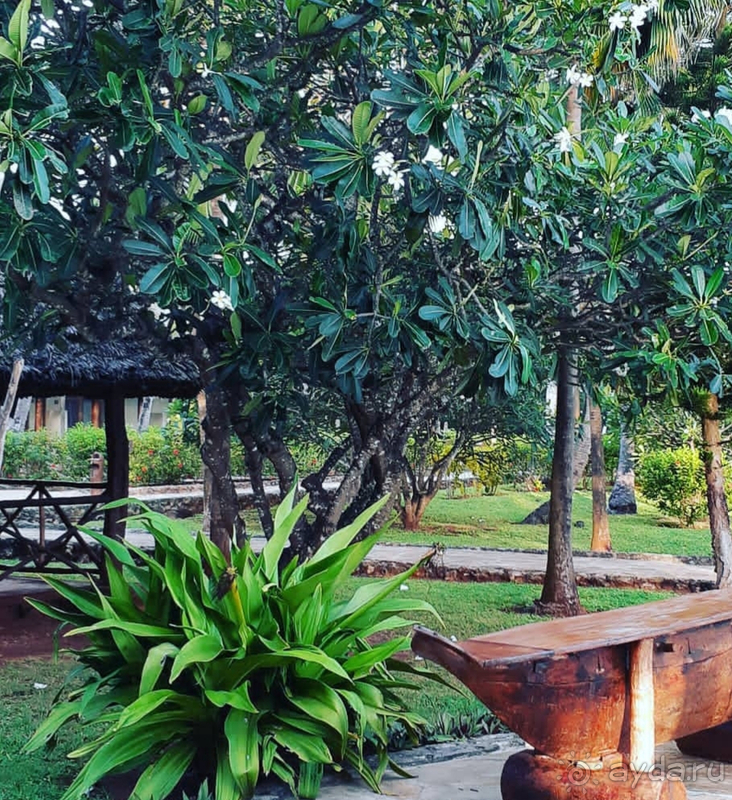 Если Рай существует - то он здесь!