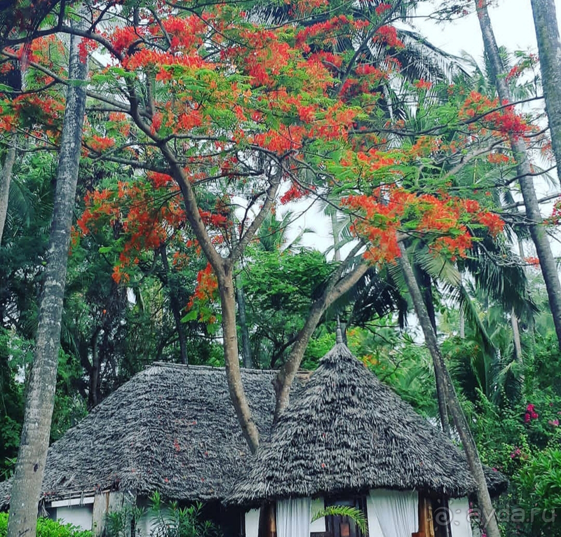 Если Рай существует - то он здесь!