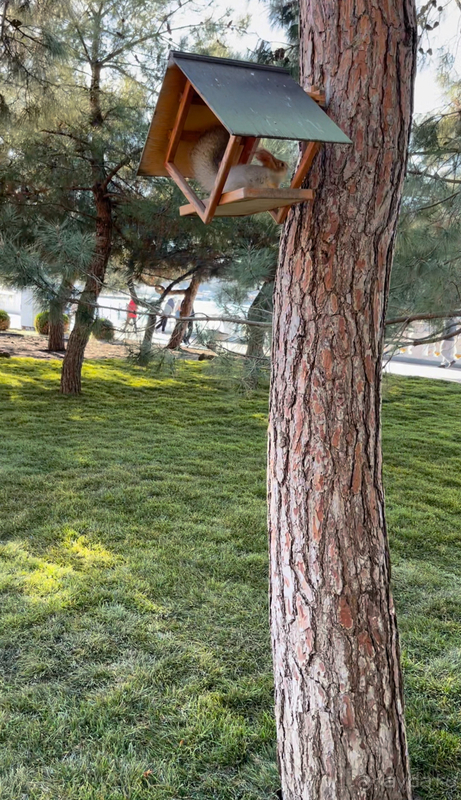 Лучший отель Геленджика