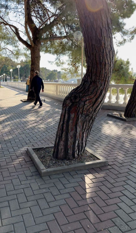 Лучший отель Геленджика