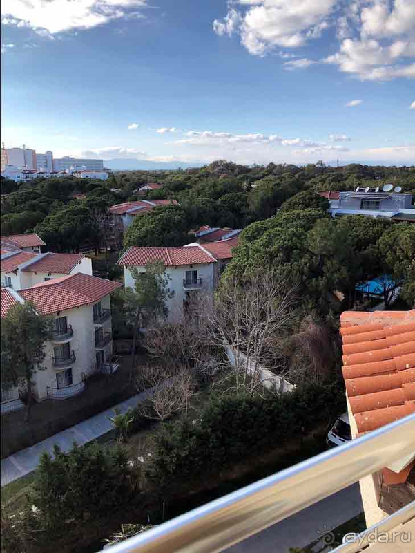 Мечтаем вернуться в Bellis!