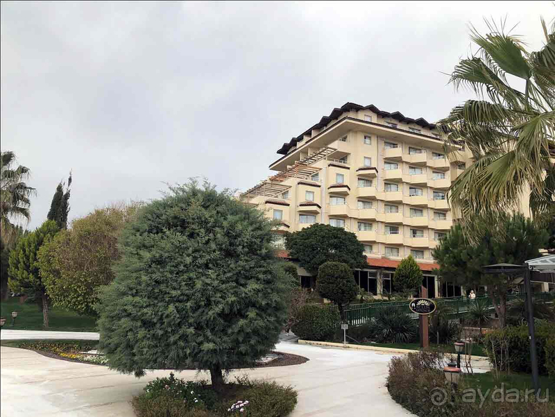 Мечтаем вернуться в Bellis!