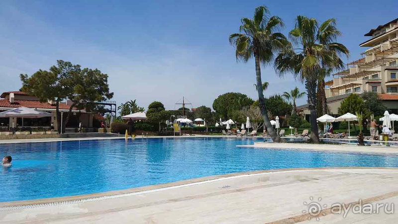 Мечтаем вернуться в Bellis!