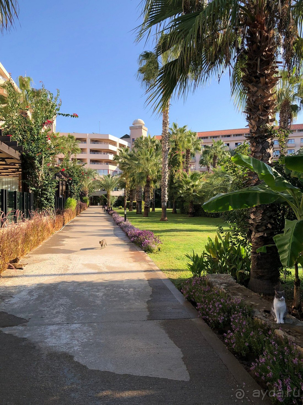 Спасибо отелю за хороший отдых, но капитальный ремонт прям требуется!