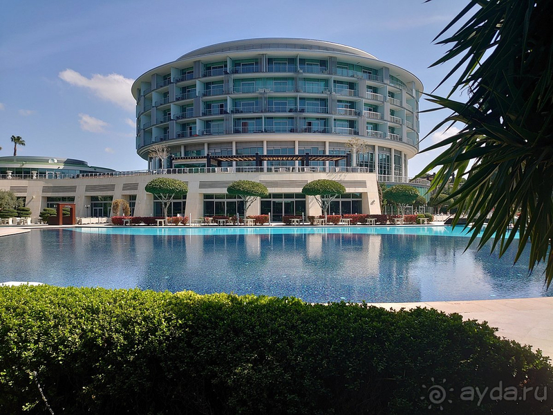 Мой второй дом