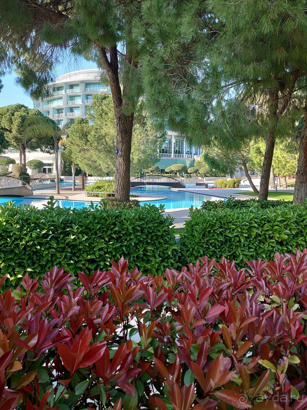 Мой второй дом