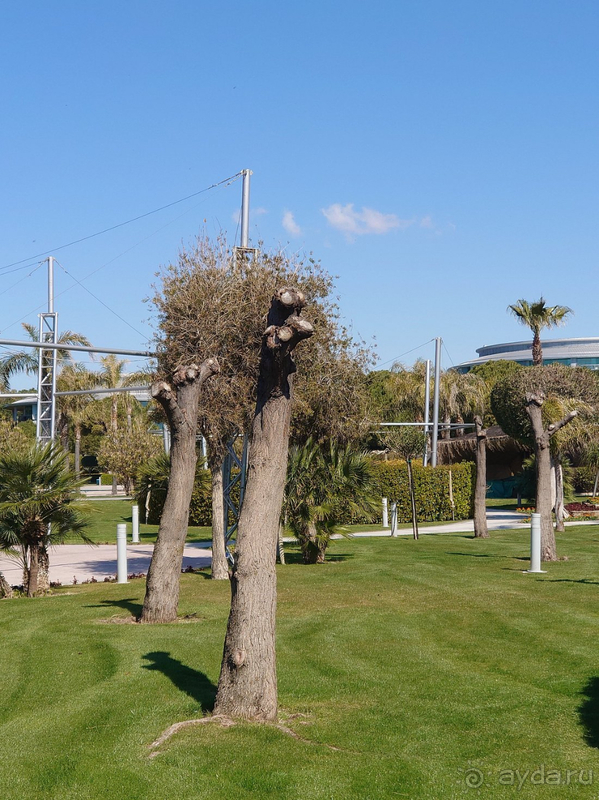 Мой второй дом