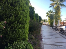 Прекрасно отдохнули!