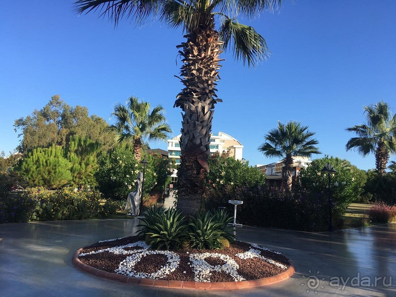 Прекрасно отдохнули!