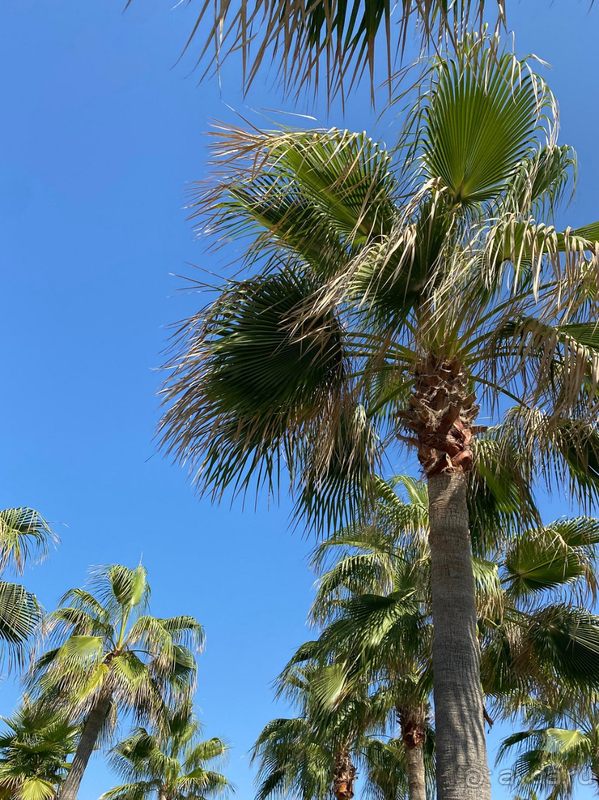 Отличный отель!