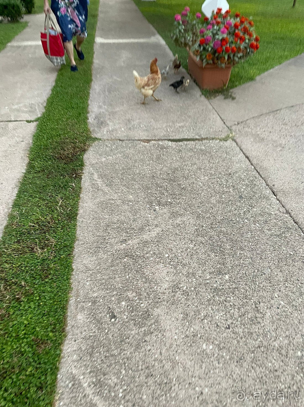 Это не отель - это трэш!