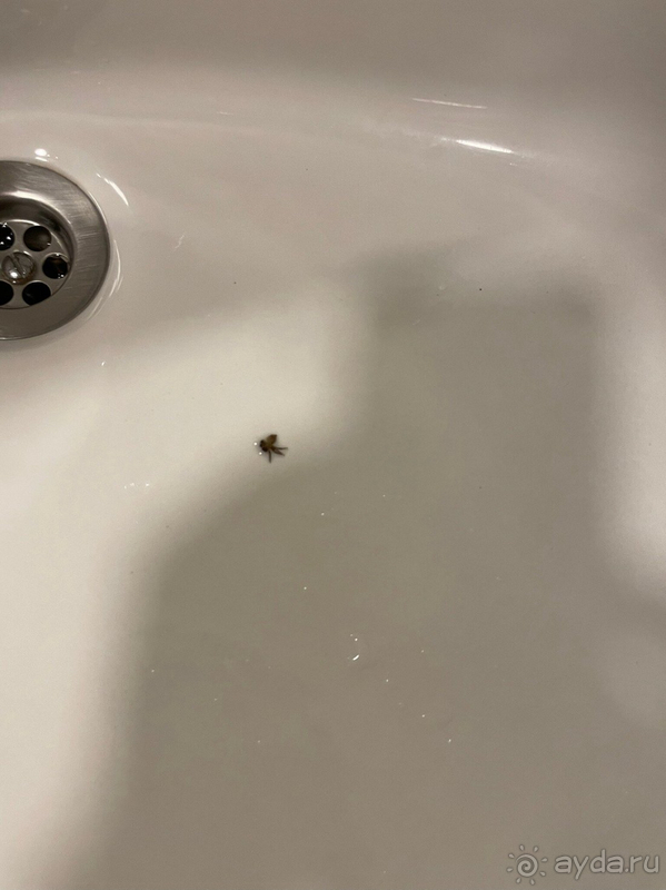 Это не отель - это трэш!