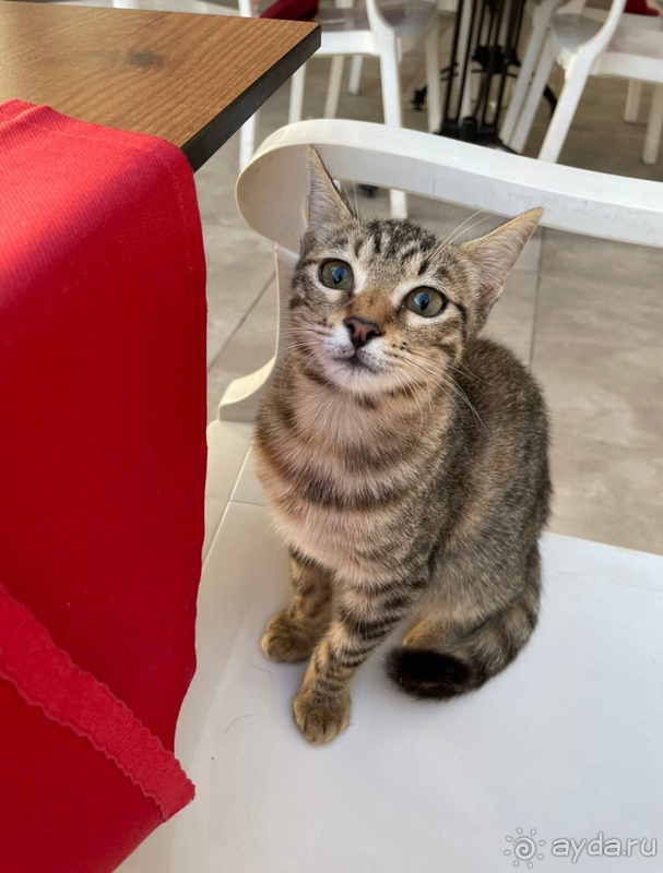 Замечательный отель