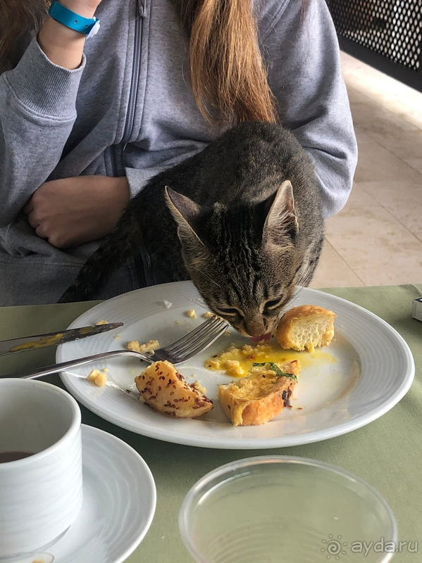 Очень жалею, что купила тур именно сюда!