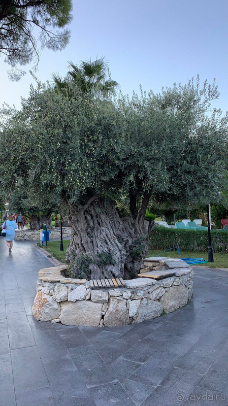 Приятный отель за вменяемые деньги