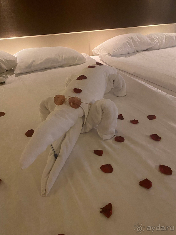 Долгожданный отпуск Ela resort