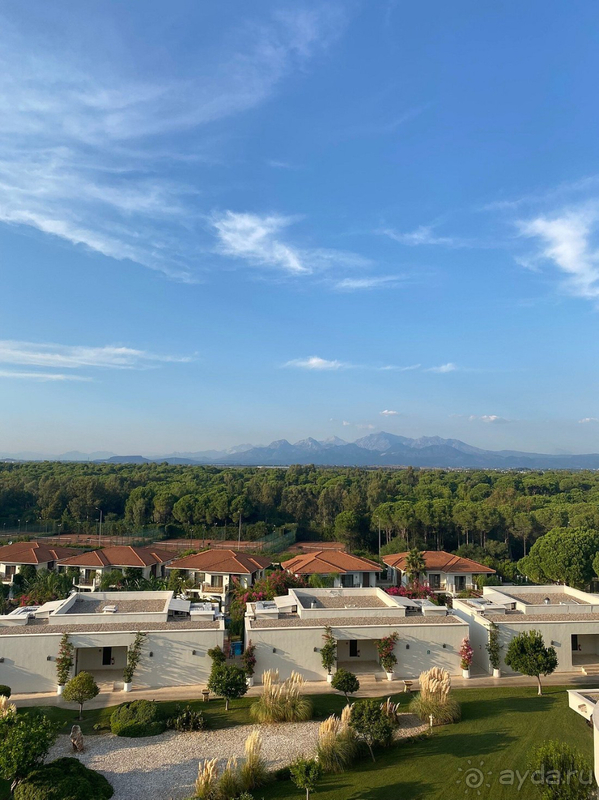 Долгожданный отпуск Ela resort