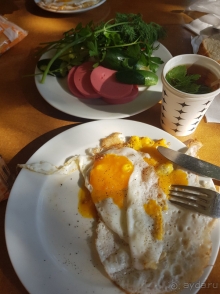 Неплохо, но больше не поеду