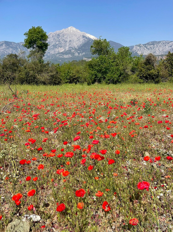 Отдых в Турции в окружении красивой природы