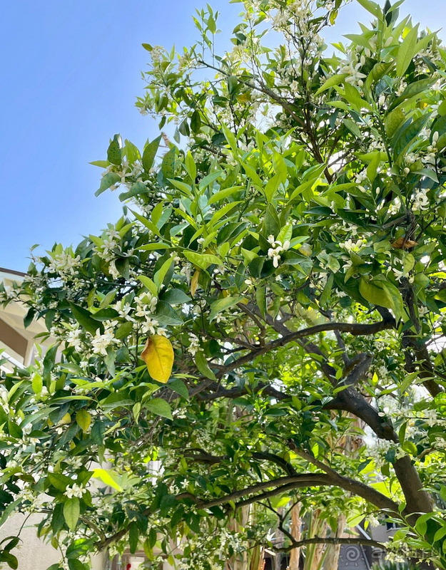 Отдых в Турции в окружении красивой природы