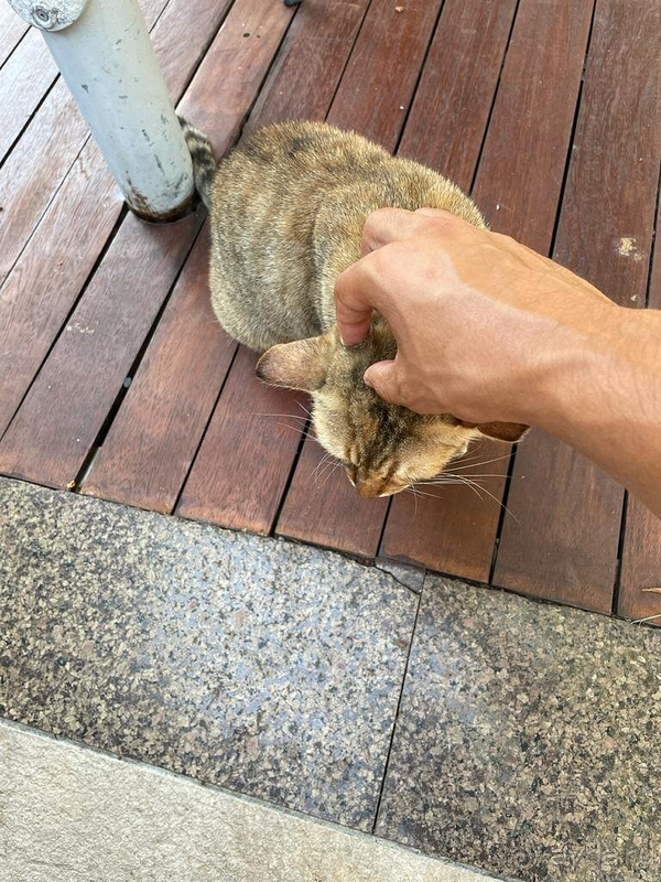 Превосходно!