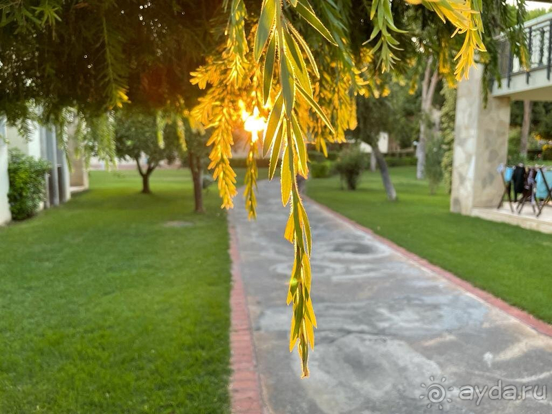 Превосходно!