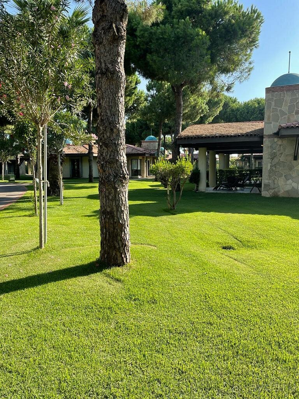 Превосходно!