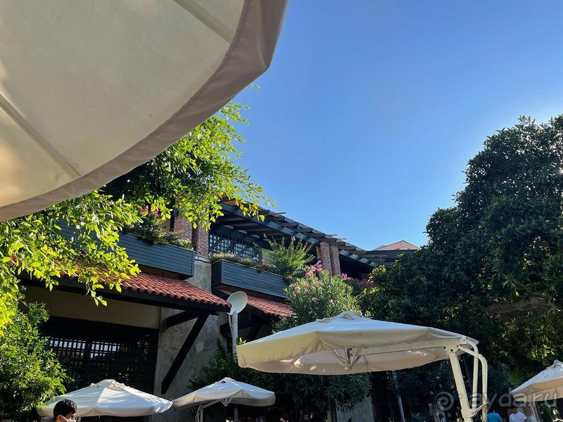 Превосходно!