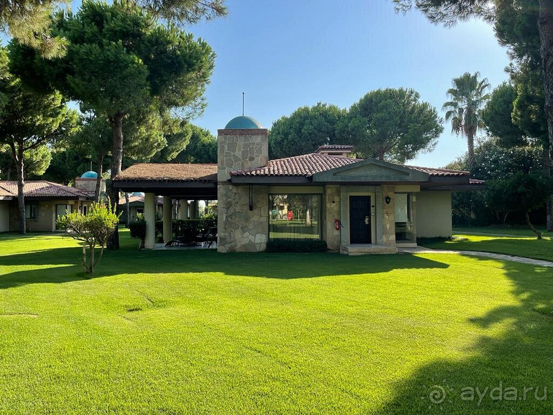 Превосходно!