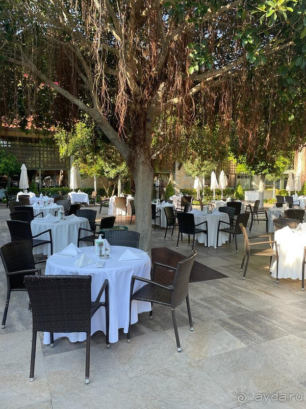 Превосходно!