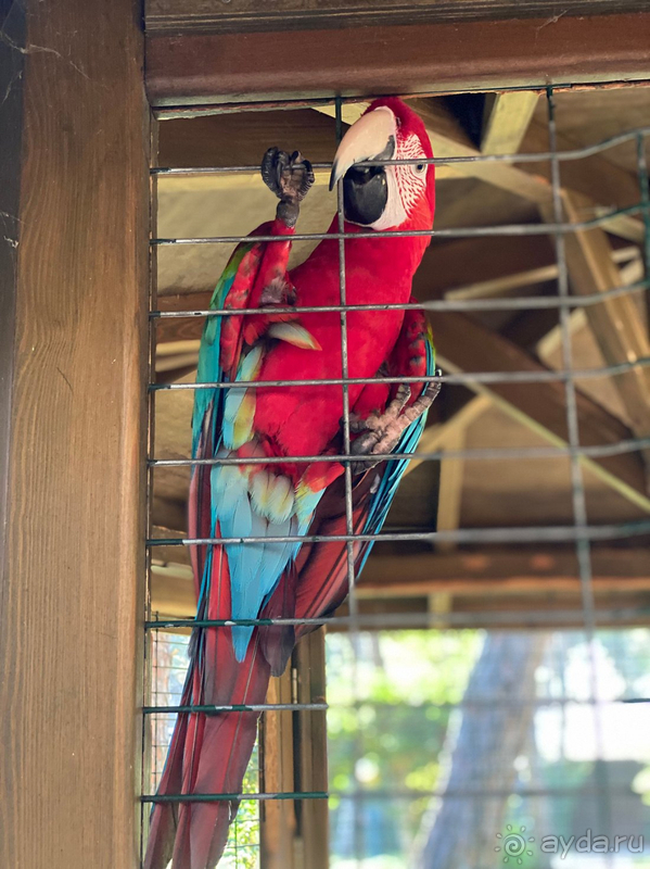 Отличный сервис и невероятная территория