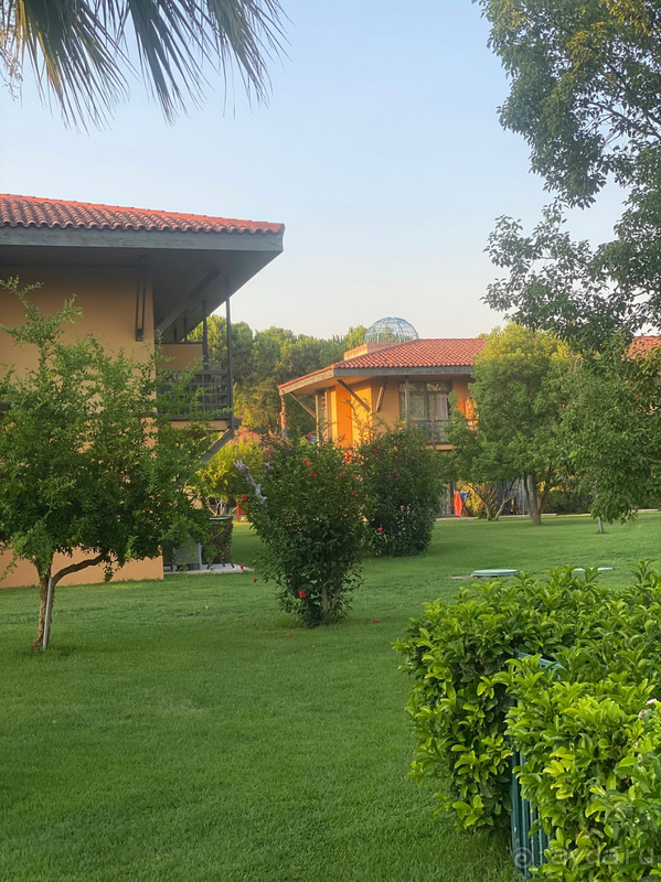 Отличный сервис и невероятная территория