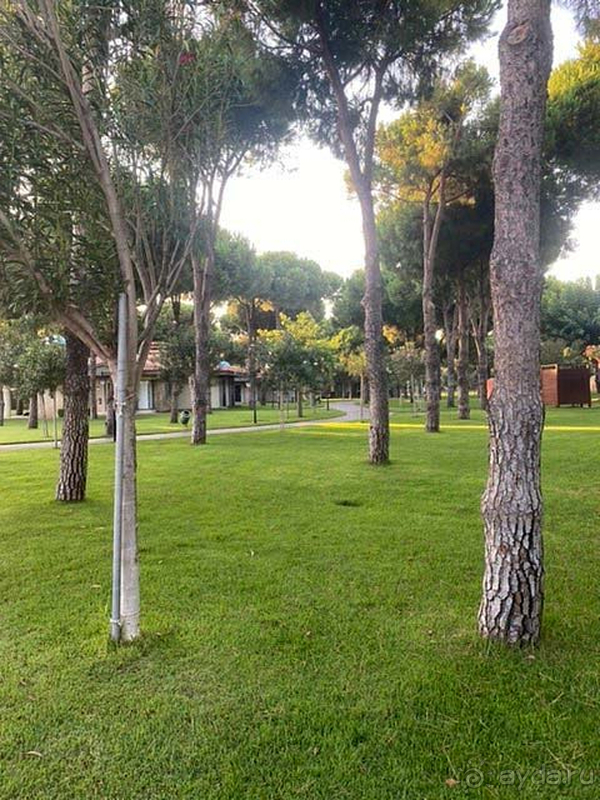 Отличный сервис и невероятная территория