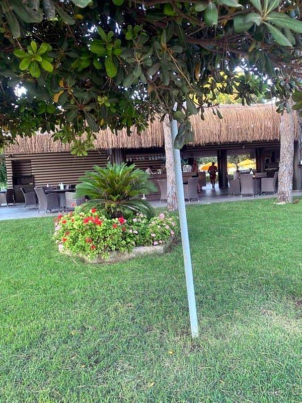 Отличный сервис и невероятная территория