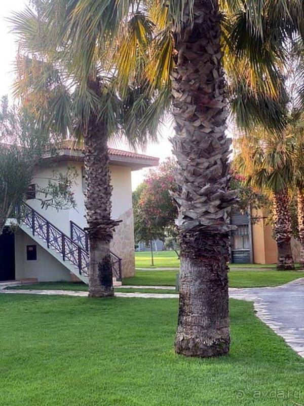 Отличный сервис и невероятная территория