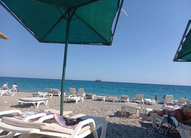 Очень достойная четвёрка!