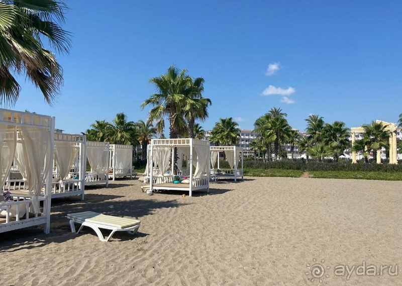 Один из лучших вариантов!