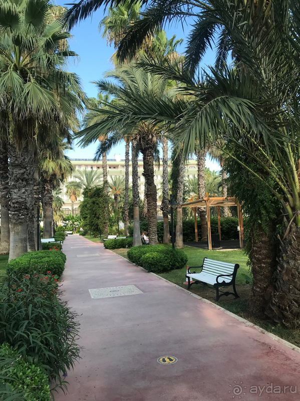 Отличный отдых с ребенком. Спасибо, ADORA!