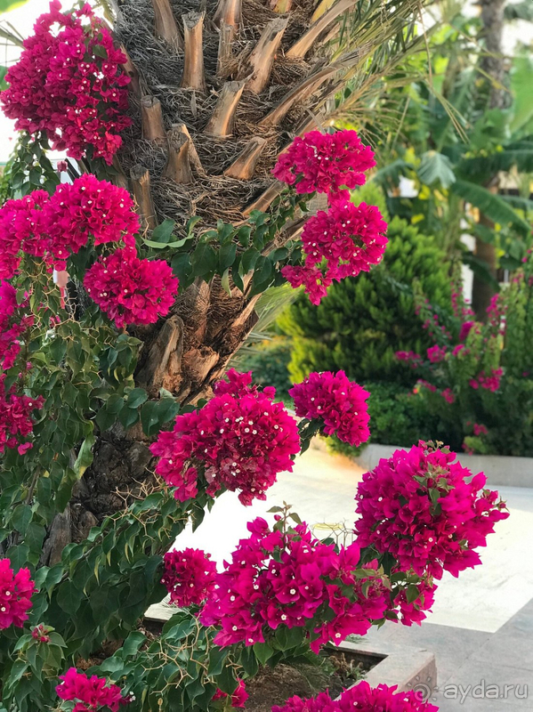 Отличный отдых с ребенком. Спасибо, ADORA!