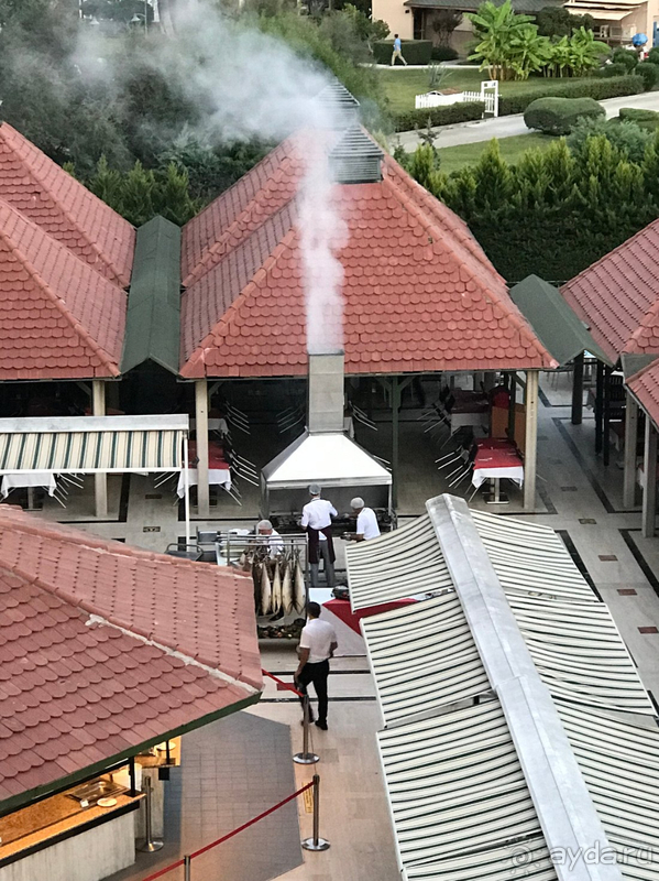 Отличный отдых с ребенком. Спасибо, ADORA!