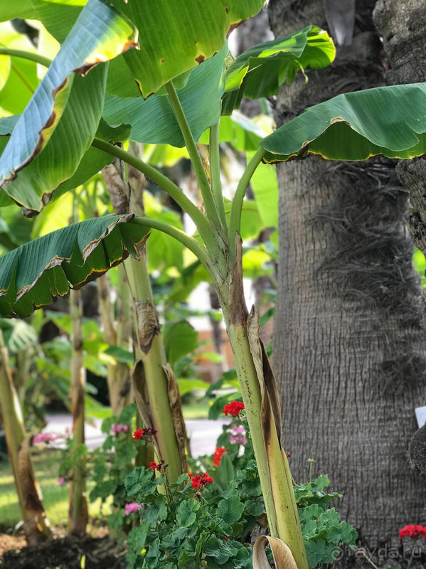 Отличный отдых с ребенком. Спасибо, ADORA!