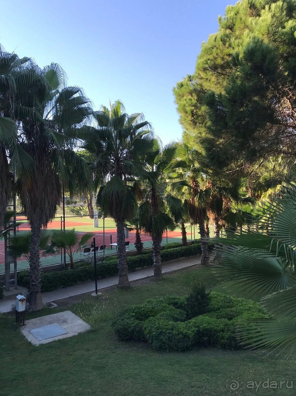 Отличный отдых с ребенком. Спасибо, ADORA!